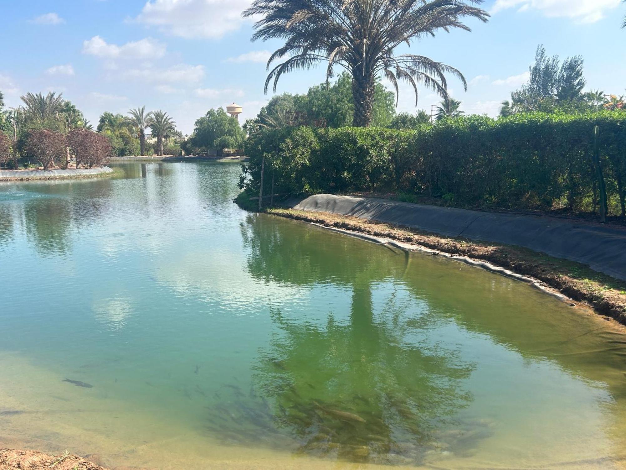 Villa Louisa Piscine Privee Sans Vis A Vis Dyar Shemsi Тарудант Екстериор снимка